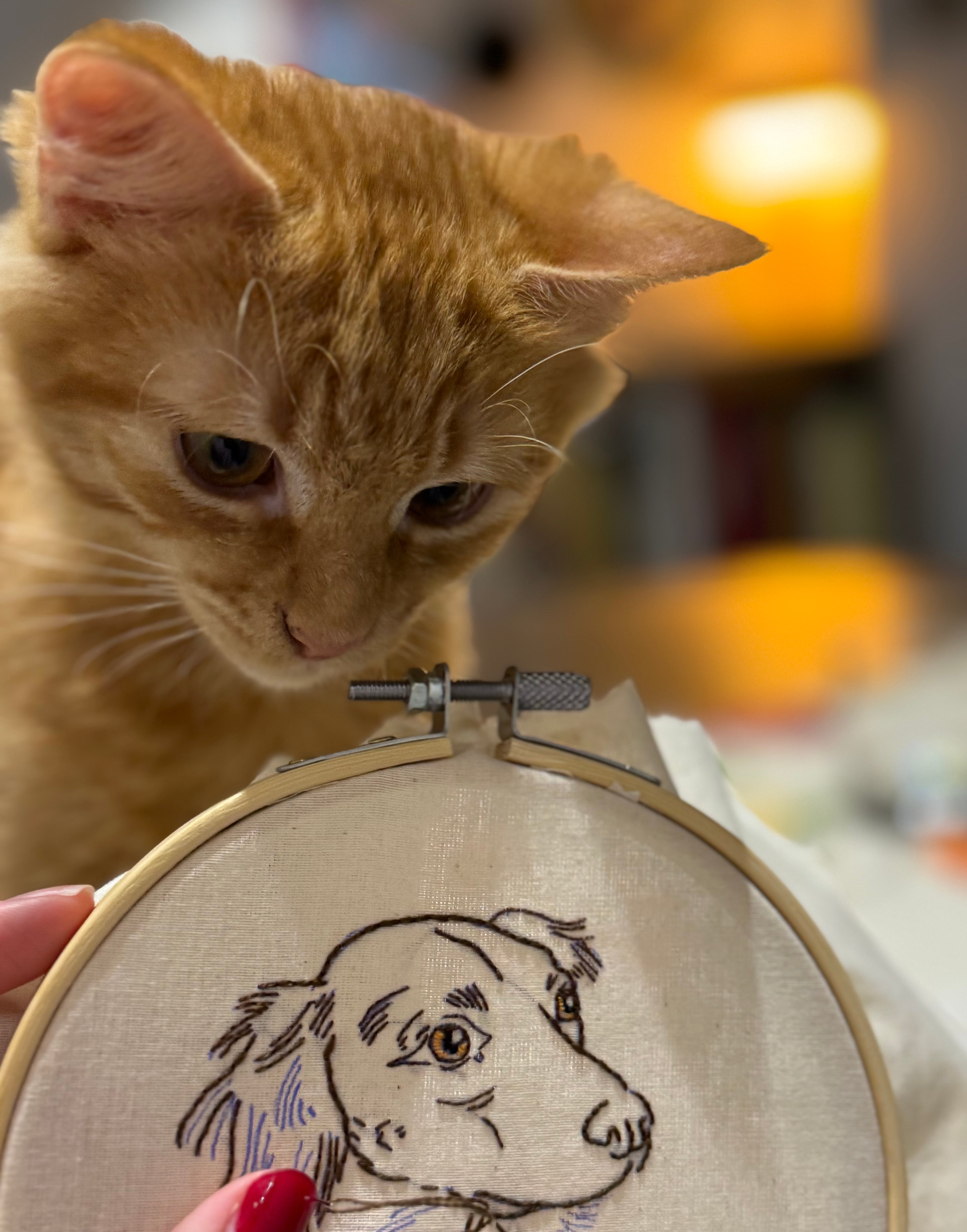 TALLER BORDADO MASCOTAS